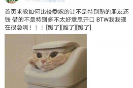 广安遇到恶意拖欠？专业追讨公司帮您解决烦恼